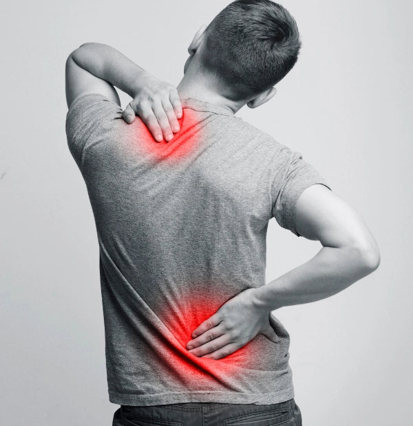 Back Pain Relief